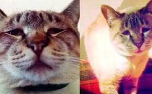 唐唐吐嘈第26集：史前一亿年