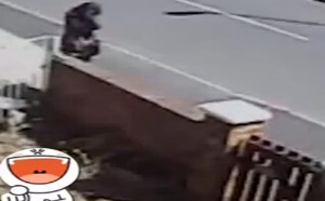 【轻松时刻】不经历磨难的人生不算完整 40