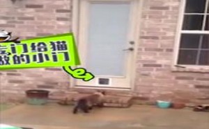 【轻松时刻】有病千里来相会 约不约 154