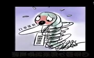 歪歌公社：调侃高物价《涨声响起来》