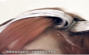 胡狼作品第146期：校长能剪掉学生的哈韩风吗