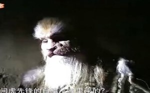 每日一囧故事会：大话西游 猪八戒才是补刀小能手