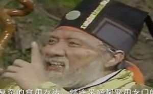 每日一囧故事会：大话西游 人参果的秘密