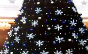 【逗逼说】【恶搞搞笑】四川最美的圣诞点，不去要哭惨！！