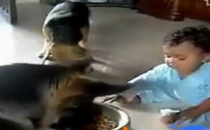 【逗逼说】超级搞笑萌宝掉米