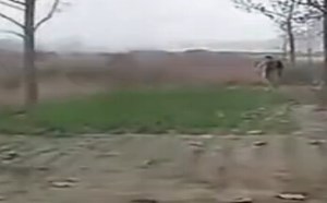 【逗逼说】绝非逗比！农村小伙神级模仿wwe，拳拳到肉