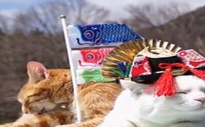 【逗逼说】装B卖萌,我最拿手,敢看主敢秀,敢搞笑