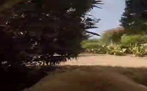 【逗逼说】汪星人搞笑表达饥渴难耐