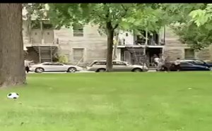 【逗逼说】你踢爆了我的小球球！老外搞笑整人游戏笑不停