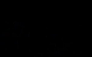 【学校里的疯子】醉了 女神竟然如此放荡不羁 41