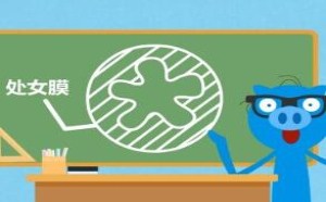 我来告诉你为什么女票初夜没见红 飞碟一分钟 273