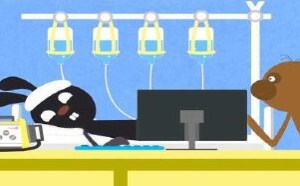 教你加班当如何防止猝死 飞碟一分钟 264