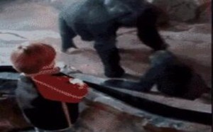 林子大了之啥鸟都有 二百块钱都能干点啥 14