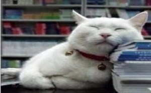 任性式发传单我喜欢 每日一囧  18