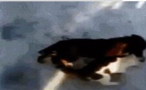 偷懒的表现… 每日一囧 35