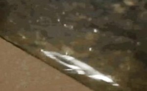 哥吃的不是辣条是童年的回忆啊 每日一囧 39