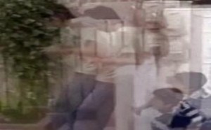 床板兄弟和愚人节，32个Z 每日一囧  58