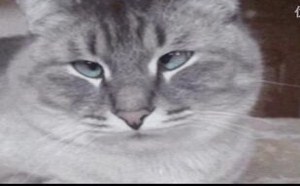 冰箱变洗衣机那货~ 每日一囧 60