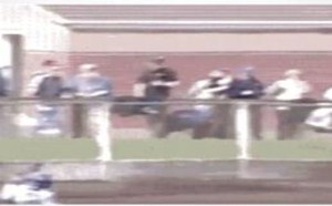 来吧！来者不拒 每日一囧 61