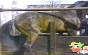 无敌了，看了再也不想喝了！ 06