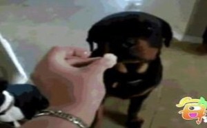 利用电池起火 怎么做到的！ 09