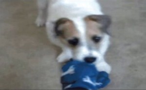 帮老板找个漂亮车模 每日一囧 112