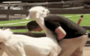 屌丝埋藏心里已久的表白方法 每日一囧 210