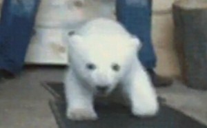 理想和现实下的鸳鸯浴 每日一囧 213