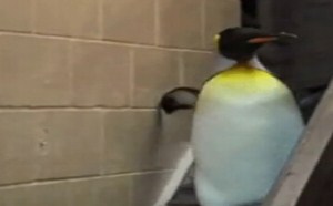 盘点儿时最崩溃的一幕 每日一囧 224