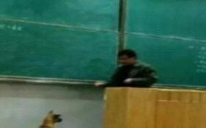 第一次坐飞机的我 每日一囧 264