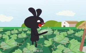 教你挑到好吃的水果 飞碟一分钟 105