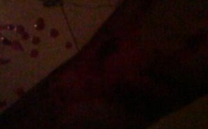 温泽浩被上照片 大学生裸照曝光 网络红人温泽浩图片