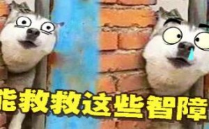 快来救救这些不带脑子的家伙 萌星人de那些破事2017-14