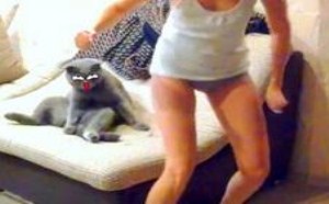 盘点养宠物那些尴尬的事 好羞射 萌星人de那些破事06