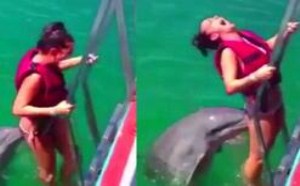 海豚偷袭比基尼美女 看你以后还敢不敢穿太少 萌星人de那些破事12 海豚偷袭比基尼美女 看你以后还敢不敢穿太少 萌星人de那些破事12