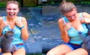 养了只变态的宠物 有得主人受了 萌星人de那些破事18