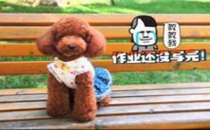 开学作业还没有写玩怎么办?救命,谁来帮帮我 萌星人de那些破事37 开学作业还没有写玩怎么办?救命,谁来帮帮我 萌星人de那些破事37