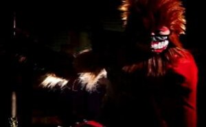 保洁小妹主持变身孙悟空 公布石破天惊的大秘密 小鸡炖蘑菇2_14