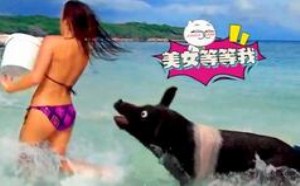 总裁豪猪与比基尼美女水中戏水！追逐美女，别跑 萌星人de那些破事31
