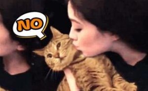 我的天,太正经的老实猫 居然拒绝美女香吻 萌星人de那些破事43 我的天,太正经的老实猫 居然拒绝美女香吻 萌星人de那些破事43