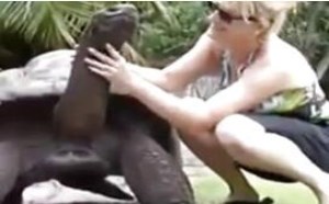 色模美女摸龟头爽歪歪邪恶动态污图视频