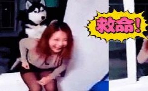 给我滚蛋！从今以后你没资格给朕铲屎了 3 萌星人de那些破事17