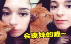 小猫教你如何把妹 单身狗必看！萌星人de那些破事17