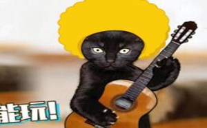 到了喵主子手中的玩具都会被它玩坏！萌星人破事42